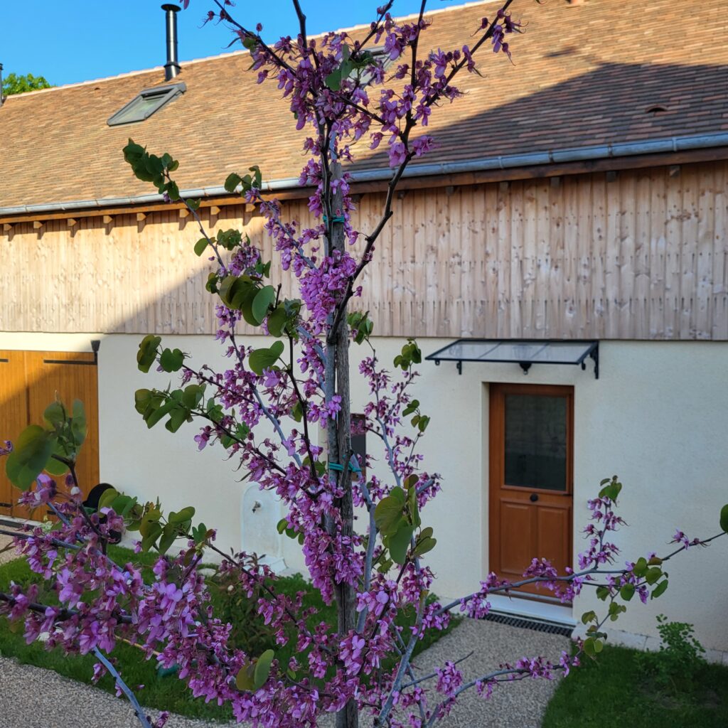 Loft relais1835 dordogne entree loft entrance