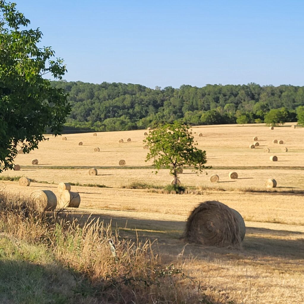 relais1835 dordogne foin hayfields